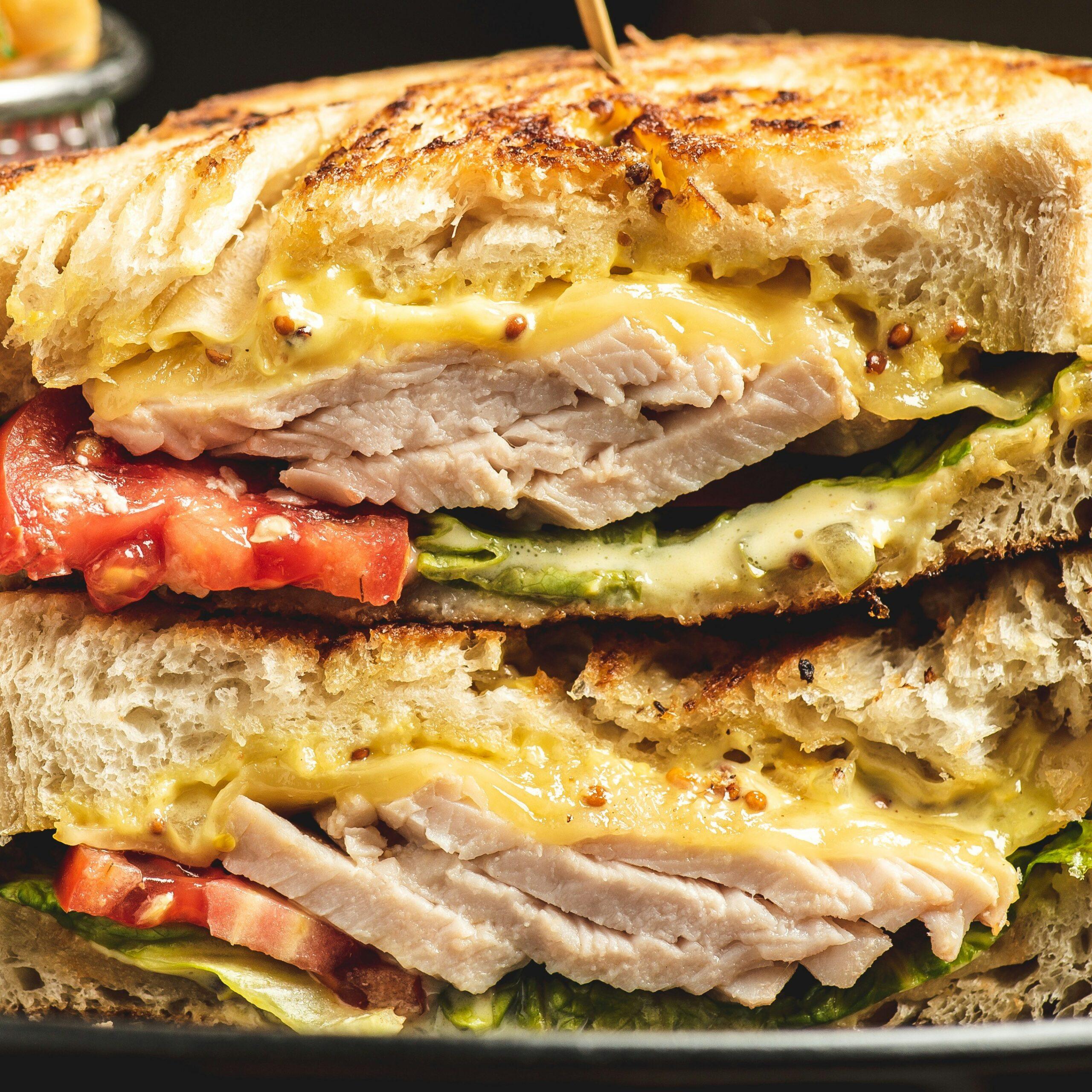 food photography of a grilled chicken and cheese sandwich